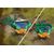 Playmobil Dinos Sulle tracce del T-Rex