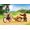 Playmobil FamilyFun Clinica Veterinaria dello Zoo