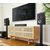 Polk Audio XT90