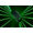 Razer Viper