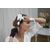 Rowenta Air Care CF4310F0