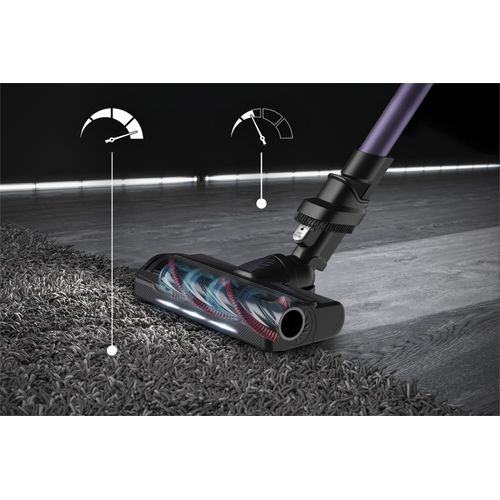 Rowenta X-Force Flex 9.60