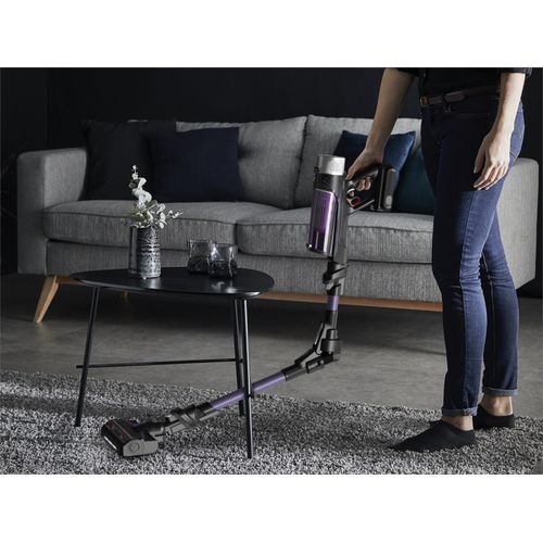 Rowenta X-Force Flex 9.60