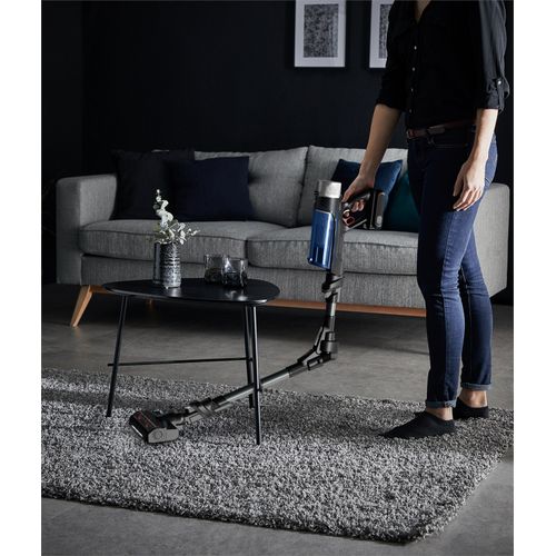 Rowenta X-Force Flex 9.60 Aqua