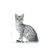 Royal Canin Indoor Sterilised Gatto Straccetti in Salsa - umido