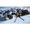RTL Interactive Winter Sports 2010: The Great Tournament