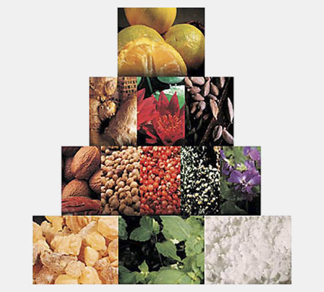 Salvatore Ferragamo Subtil Pour Homme Eau de Toilette