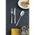 Sambonet Linear set di posate