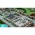 Sega Two Point Hospital