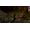 Skybound Games Neverwinter Nights - Enhanced Edition