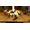 Skybound Games Neverwinter Nights - Enhanced Edition