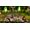 Skybound Games Neverwinter Nights - Enhanced Edition