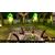 Skybound Games Neverwinter Nights - Enhanced Edition