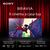 Sony Bravia 9