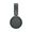 Sony WH-CH520