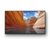 Sony X81J