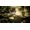 Square Enix Octopath Traveler II