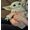 Star Wars The Child Baby Yoda