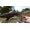 Studio Wildcard ARK: Survival Evolved