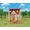 Sylvanian Families Cosy Cottage