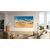 TCL C69B