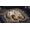 Techland Publishing Torment: Tides of Numenera