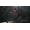 Techland Publishing Torment: Tides of Numenera