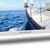Thomson HG2S14CW