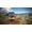 THQ Nordic MX vs ATV: Legends