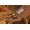 THQ Nordic Titan Quest
