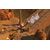 THQ Nordic Titan Quest