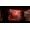 Warner Bros. Mortal Kombat 1 (2023) - Premium Edition
