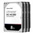 Western Digital Ultrastar DC HC320