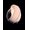 Yves Saint Laurent Or Rouge Crema Ricca Giorno