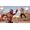 2K WWE 2K Battlegrounds Xbox Series X / Xbox One