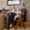 Hauck Seggiolone AlphaPlus Noce