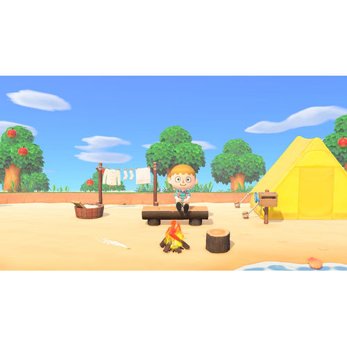 Nintendo Animal Crossing: New Horizons Switch