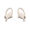 Apple Powerbeats Pro Bianco avorio