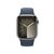 Apple Watch Series 9 (2023) 41mm Acciaio GPS+Cellular