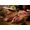 Ariete 730 Steak House Grill