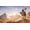 Ubisoft Assassin's Creed Origins PS4