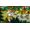 Microids Asterix & Obelix: Slap Them All! PS4