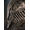 Bandai Namco Elden Ring - Premium Collector's Edition Xbox Series X