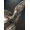 Bandai Namco Elden Ring - Premium Collector's Edition Xbox Series X