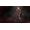 Bandai Namco Elden Ring - Premium Collector's Edition Xbox Series X