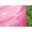 Bestway Piscina 3 anelli 70x30