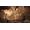 Bethesda Doom Eternal - Deluxe Edition Xbox One