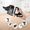 Bosch Aspirapolvere BCS61113