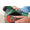 Bosch PEX 300 AE 06033A3000