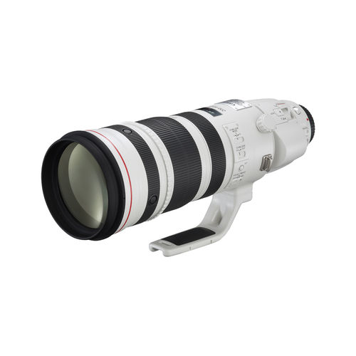 Canon EF 200-400mm f/4 L IS USM Extender 1.4x